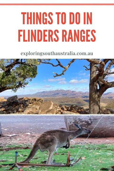 23 Great Things to do in the Flinders Ranges {2024}
