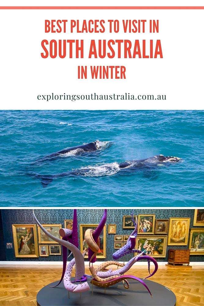 places to visit in south australia in winter