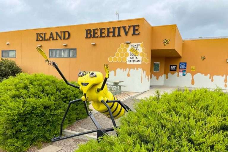 The Ultimate List of What to do on Kangaroo Island