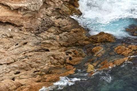 The Hidden Coastline of Whalers Way