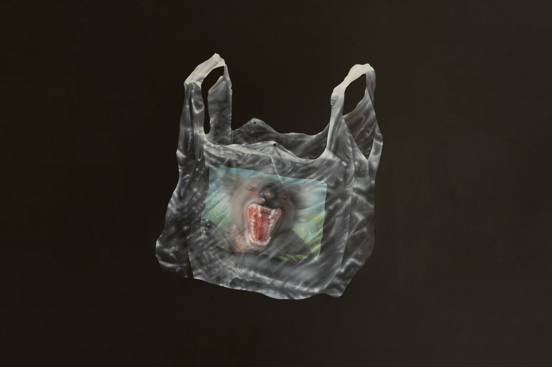 A translucent plastic bag with an image of a snarling animal, possibly a monkey or ape, is displayed against a plain black background.
